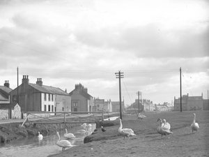 Allonby