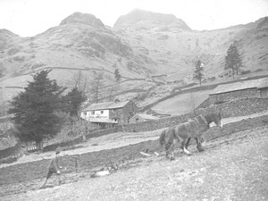 Tek bir çiftlik işçisi ile çift süren iki at by Joseph Hardman