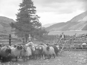 Koyun sürüsüyle iki çoban ve arkalarında Thirlmere by Joseph Hardman
