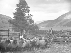 Koyun sürüsüyle iki çoban ve arkalarında Thirlmere by Joseph Hardman
