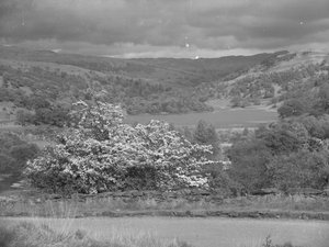Rydal
