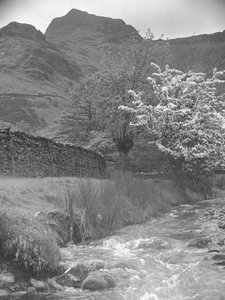 Ön planda çiçek ağaçları ve arka planda Langdale Zirveleri ile dağ deresinin görünümü by Joseph Hardman