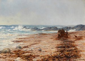 Kelp Toplama (tuval üzerine yağlı boya)