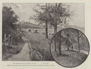 Yıkımı Tartışılan Churchyard Bottom Wood, Highgate by Joseph Holland Tringham