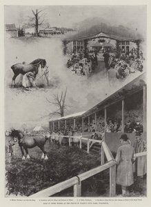 Galler Prensi Stud-Farm, Wolferton