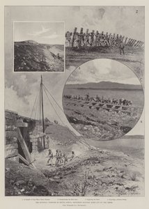 Güney Afrika