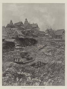 Madagaskar Kraliçesi