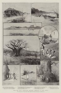 Doğu Afrika