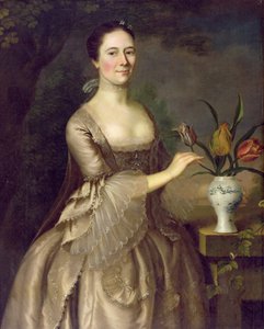 Bir Kadının Portresi (Bayan Davenport denir) c.1762 by Joseph Jonathan Blackburn