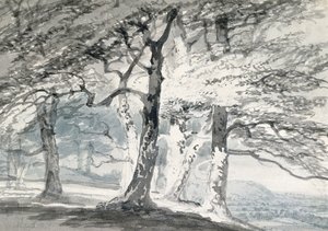 Norbury Park, Surrey (kağıt üzerine kurşun kalem ve sulu boya) by Joseph Mallord William (attr.to) Turner