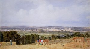 Hinksey Tepesi