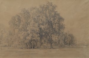 Aşağı Avusturya'daki Seebenstein Şatosu parkındaki huş ağaçları grubu by Joseph Martin Höger