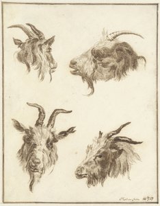 Keçi kafalarıyla ilgili dört çalışma by Joseph Mendes da Costa
