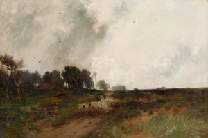 Moor