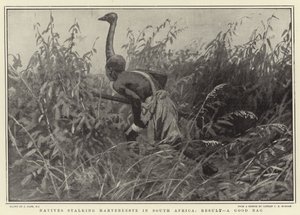 Güney Afrika