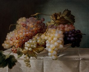 Porselen tabakta üzümlü natürmort by Joseph Nigg