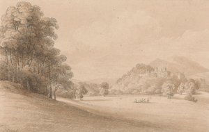 Dunster Kalesi, Somerset: Uzaktaki Kaleyi Gösterme