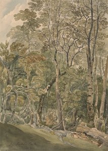 Rydal Park'ta
