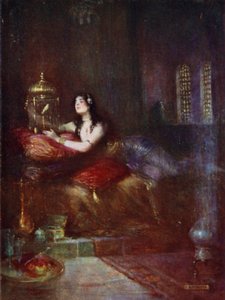 Sultan ve Kanaryası