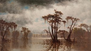 Bayou Sahnesi