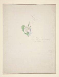 Çiçek by Joseph Stella