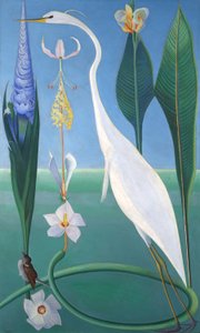 Beyaz Balıkçıl by Joseph Stella