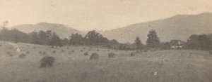 Ağaçlar ve dağlar ile manzara