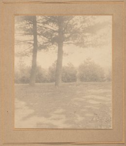 Ağaçlı manzara,c. 1900 (fotoğraf) by Joseph T. Keiley