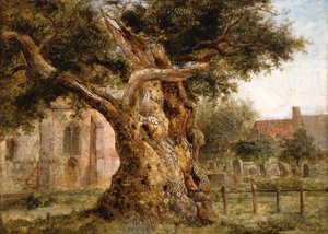 Yaşlı Meşe, 1870