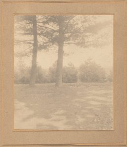 Ağaçlı peyzaj, c. 1900.
