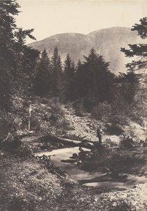 Demoiselles şelalesinin torrenti, Bagnères de Luchon., 1853.