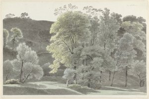 Subiaco çevresindeki ağaçlar by Josephus Augustus Knip