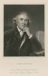 John Avcı by Joshua Reynolds