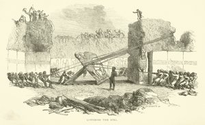 Boğayı indirmek by Josiah Wood Whymper