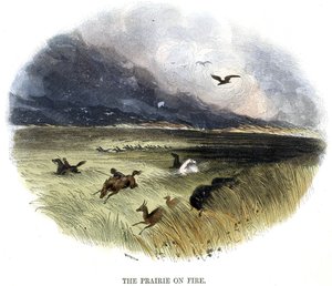 Ateş Üzerinde Çayır, Doğa Olaylarından, 1849