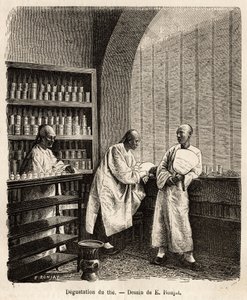 Çayın tadımı, Fati Körfezi
