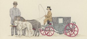 Cücelerin arabası (renkli taş)