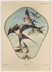 Yelpaze, Gillot tarafından oyulmuş, 'Fantaisies dekoratiflerinden' plaka 30, Jules Rouam, Librairie de l'Art, Paris, 1887 (renkli gravür)