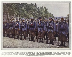 Cezayir Avcı Erleri
