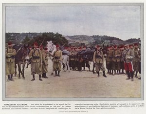Cezayir Avcı Erleri