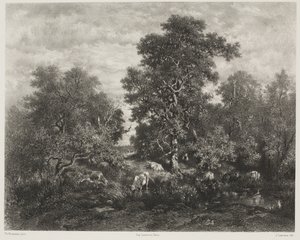 Gölet, Théodore Rousseau