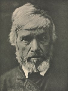 Kamera Çalışması: Carlyle by Julia Margaret Cameron