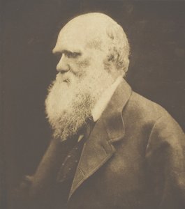 Charles Darwin, 1868, basılmış c. 1893. by Julia Margaret Cameron