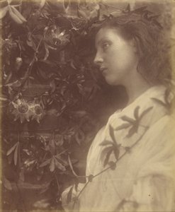  by Julia Margaret Cameron