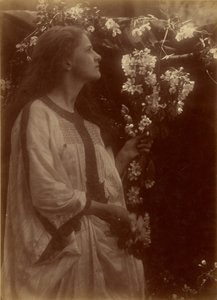  by Julia Margaret Cameron