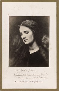 Yabani Çiçek by Julia Margaret Cameron