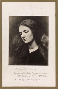  by Julia Margaret Cameron