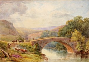 Lewisburn Köprüsü, Kuzey Tyne by Julia Swinburne