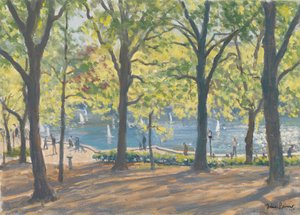 Central Park, New York, 2010 by Julian Barrow