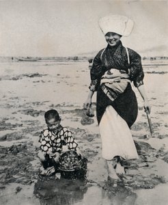 Tokyo Körfezi